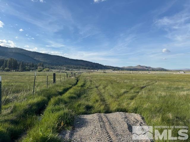 3180 Makayla, Washoe Valley, NV 89704 - photo 2
