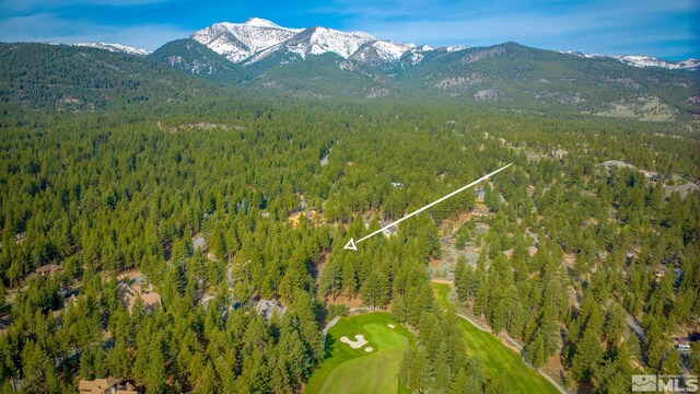 22 Rose Creek Ln, Reno, NV 89511 - photo 5