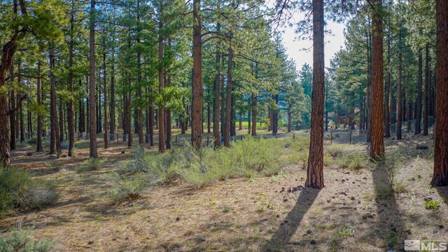 22 Rose Creek Ln, Reno, NV 89511 - photo 10