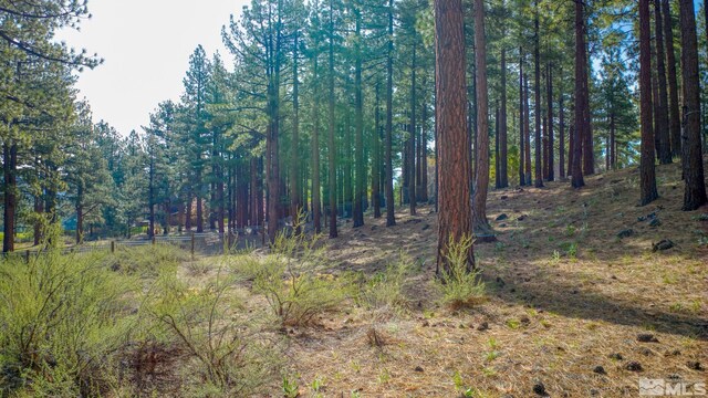 22 Rose Creek Ln, Reno, NV 89511 - photo 11