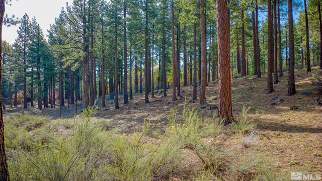 22 Rose Creek Ln, Reno, NV 89511 - photo 12