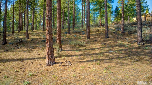 22 Rose Creek Ln, Reno, NV 89511 - photo 13