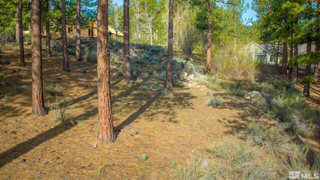 22 Rose Creek Ln, Reno, NV 89511 - photo 15