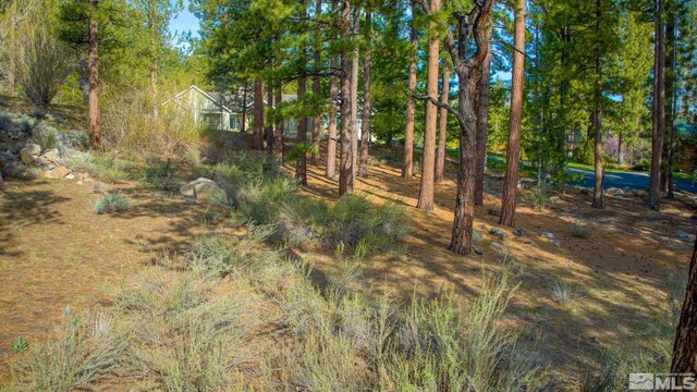 22 Rose Creek Ln, Reno, NV 89511 - photo 16