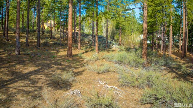 22 Rose Creek Ln, Reno, NV 89511 - photo 19