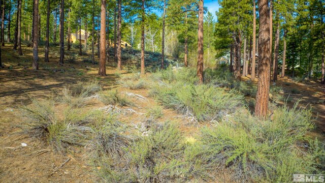 22 Rose Creek Ln, Reno, NV 89511 - photo 24