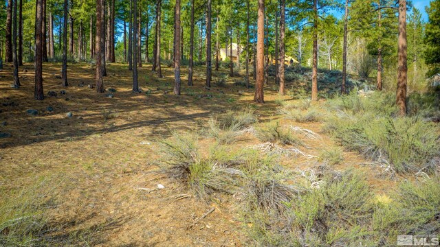 22 Rose Creek Ln, Reno, NV 89511 - photo 25