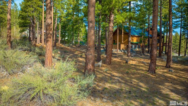 22 Rose Creek Ln, Reno, NV 89511 - photo 26