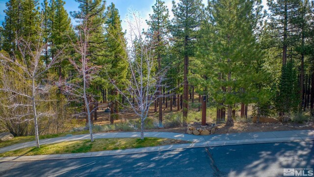 22 Rose Creek Ln, Reno, NV 89511 - photo 28