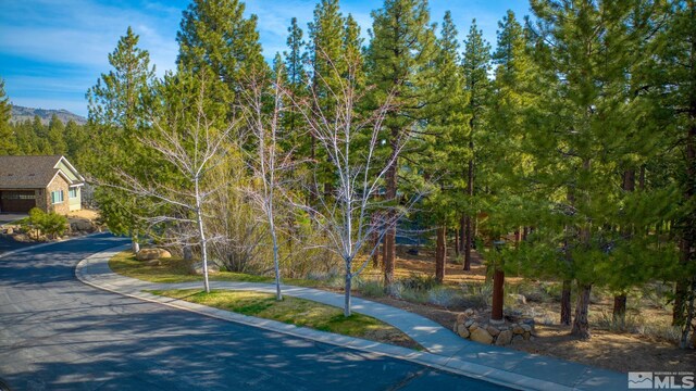 22 Rose Creek Ln, Reno, NV 89511 - photo 29