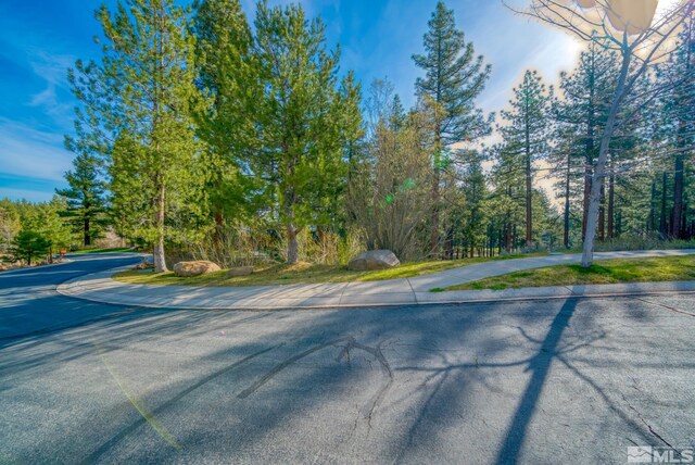22 Rose Creek Ln, Reno, NV 89511 - photo 31