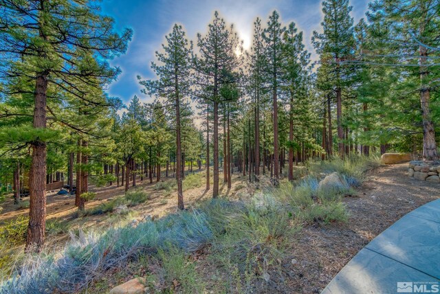 22 Rose Creek Ln, Reno, NV 89511 - photo 32