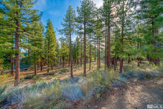 22 Rose Creek Ln, Reno, NV 89511 - photo 33