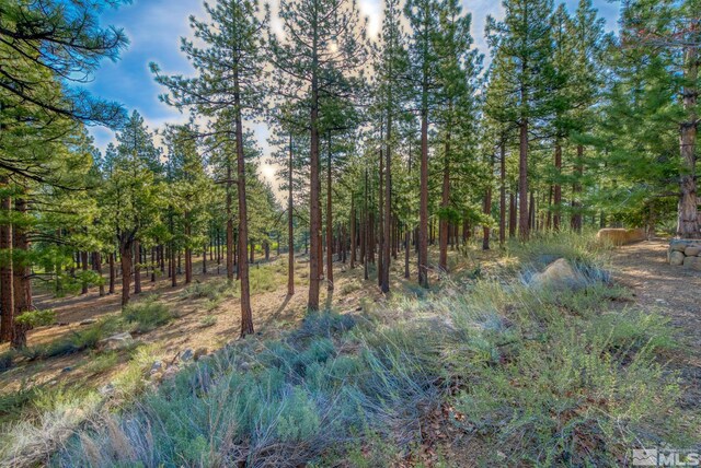 22 Rose Creek Ln, Reno, NV 89511 - photo 34