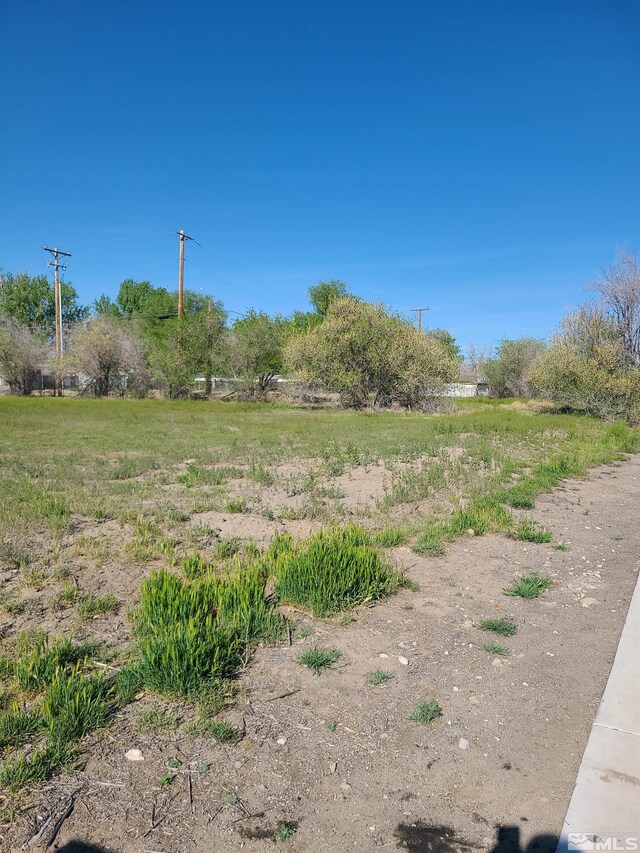 361 Silver, Fallon, NV 89406 - photo 3