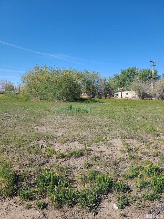 361 Silver, Fallon, NV 89406 - photo 4