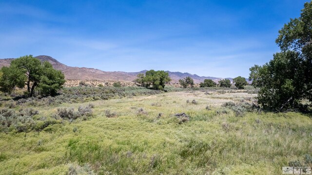 5 River Rd, Dayton, NV 89403 - photo 13