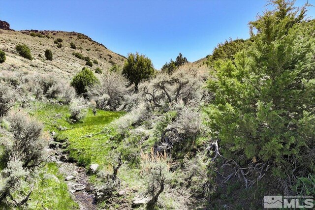 0 Pah Rah Springs Rd, Reno, NV 89510 - photo 1