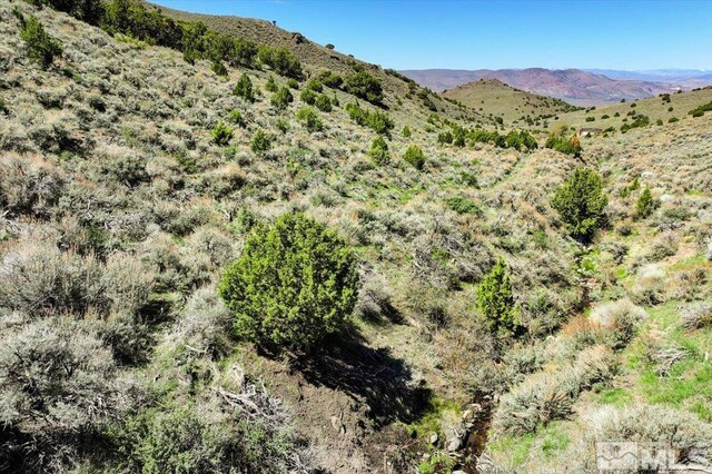 0 Pah Rah Springs Rd, Reno, NV 89510 - photo 4