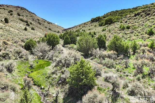 0 Pah Rah Springs Rd, Reno, NV 89510 - photo 5