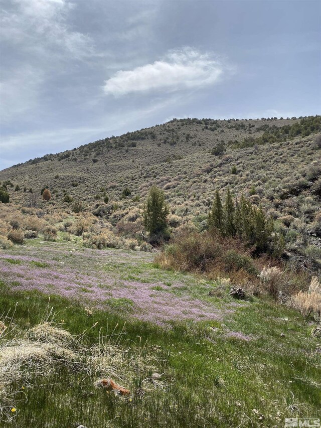 0 Pah Rah Springs Rd, Reno, NV 89510 - photo 6
