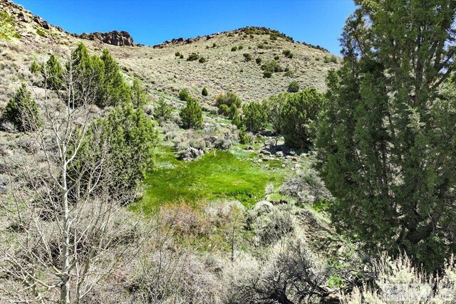 0 Pah Rah Springs Rd, Reno, NV 89510 - photo 7