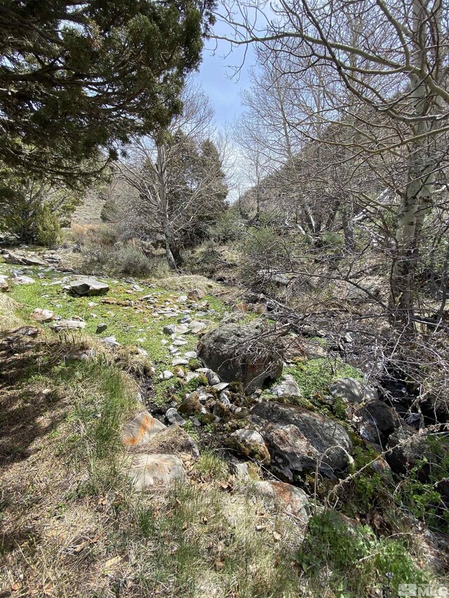0 Pah Rah Springs Rd, Reno, NV 89510 - photo 8