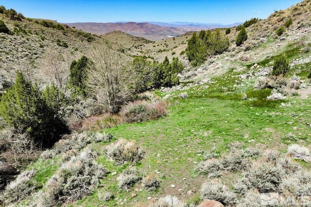 0 Pah Rah Springs Rd, Reno, NV 89510 - photo 11