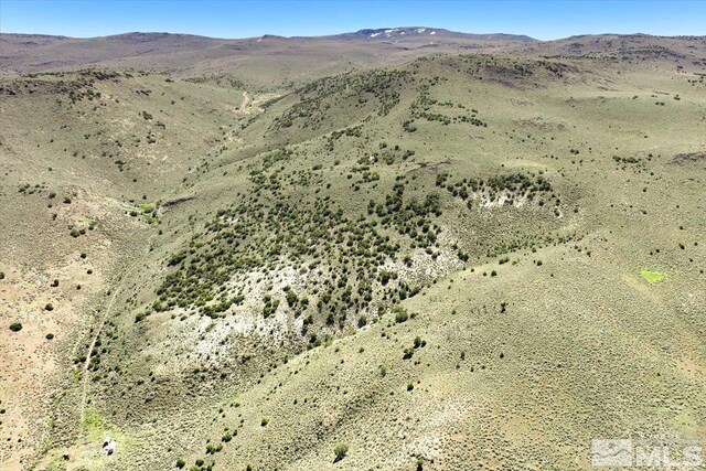 0 Pah Rah Springs Rd, Reno, NV 89510 - photo 13