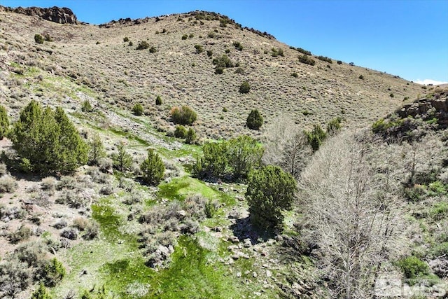 0 Pah Rah Springs Rd, Reno, NV 89510 - photo 15
