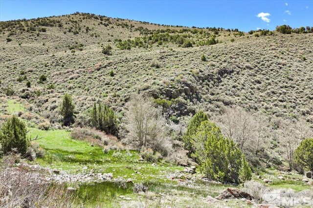 0 Pah Rah Springs Rd, Reno, NV 89510 - photo 16