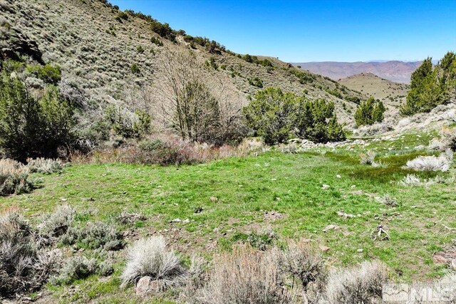 0 Pah Rah Springs Rd, Reno, NV 89510 - photo 17