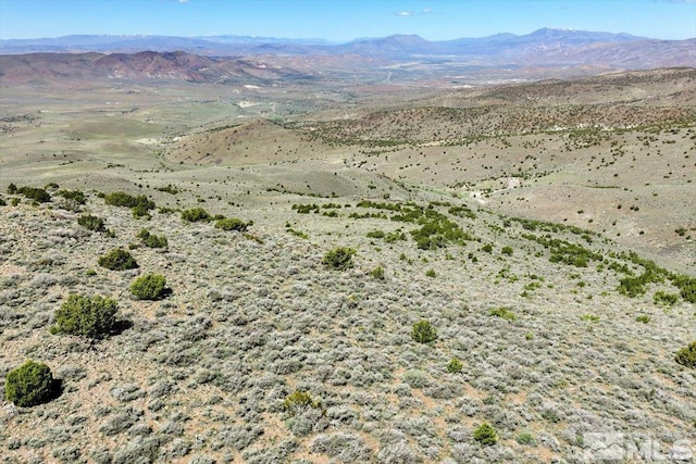 0 Pah Rah Springs Rd, Reno, NV 89510 - photo 18
