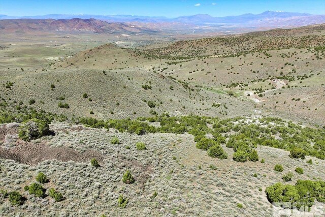0 Pah Rah Springs Rd, Reno, NV 89510 - photo 19