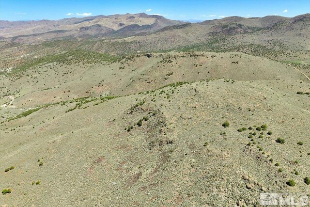 0 Pah Rah Springs Rd, Reno, NV 89510 - photo 21