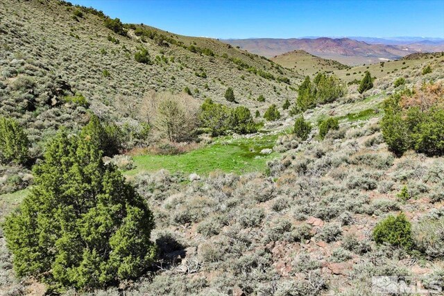 0 Pah Rah Springs Rd, Reno, NV 89510 - photo 25