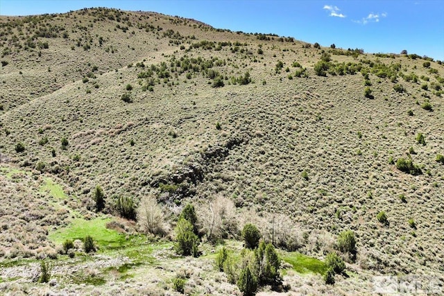 0 Pah Rah Springs Rd, Reno, NV 89510 - photo 26