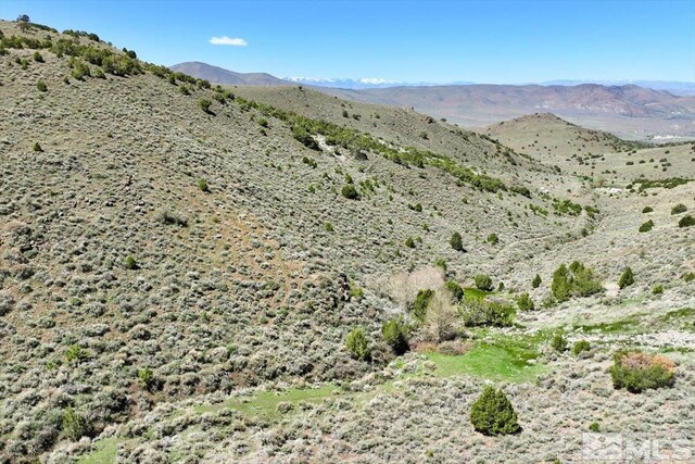 0 Pah Rah Springs Rd, Reno, NV 89510 - photo 28