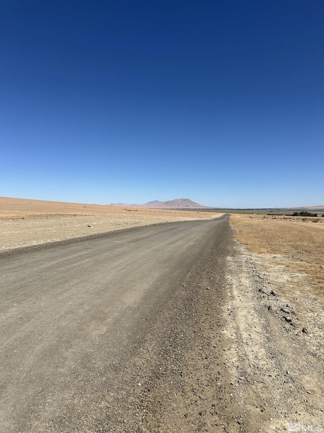 Hershel Rd, Winnemucca, NV 89445 - photo 3