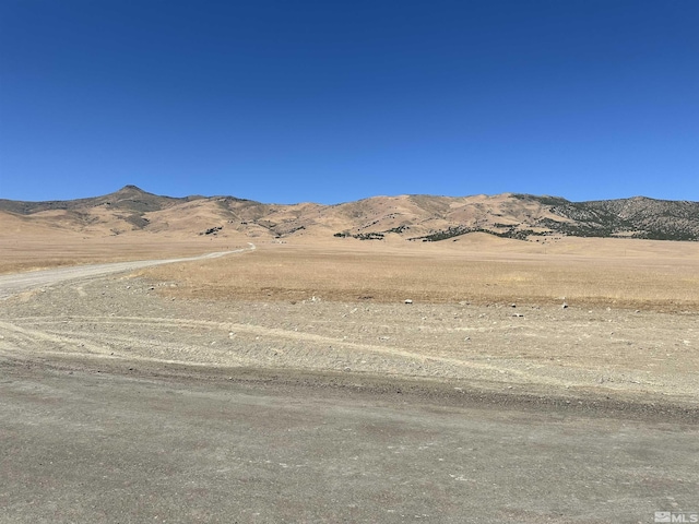 Hershel Rd, Winnemucca, NV 89445 - photo 5