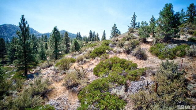 5645 W US Highway 50, Carson City, NV 89705 - photo 5