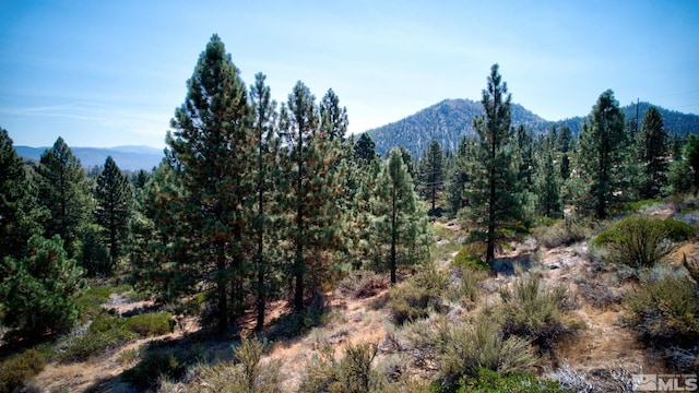 5645 W US Highway 50, Carson City, NV 89705 - photo 6