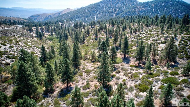 5645 W US Highway 50, Carson City, NV 89705 - photo 7