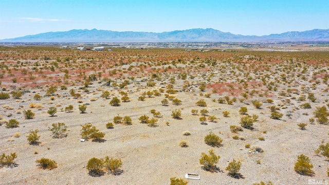 2841 E Bickford Way, Pahrump, NV 89048 - photo 6