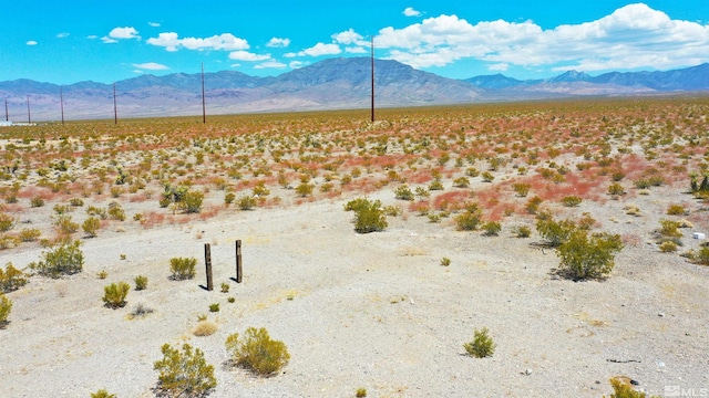 2841 E Bickford Way, Pahrump, NV 89048 - photo 10