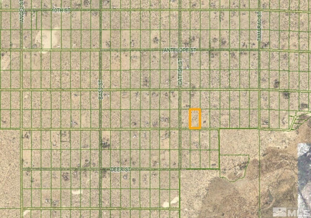 2590 E Cougar St, Silver Springs, NV 89429