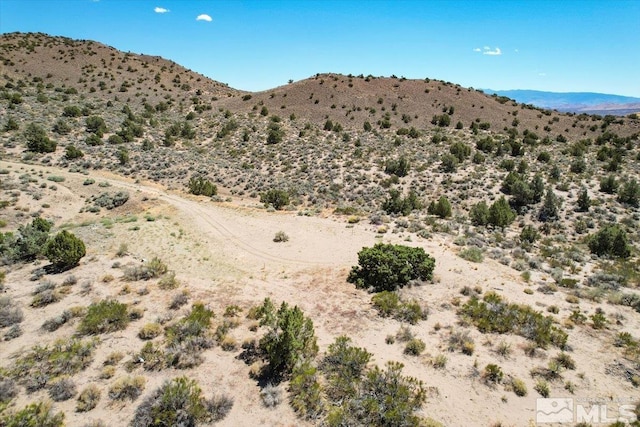 75 Wootton Downs Dr, Sparks, NV 89441 - photo 25
