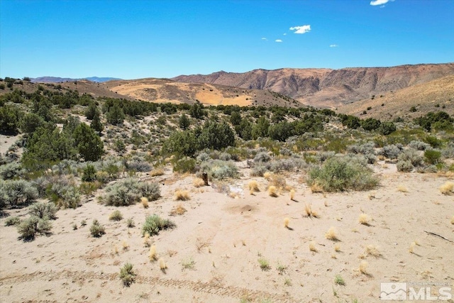 75 Wootton Downs Dr, Sparks, NV 89441 - photo 28