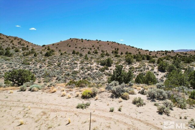75 Wootton Downs Dr, Sparks, NV 89441 - photo 31