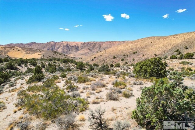 75 Wootton Downs Dr, Sparks, NV 89441 - photo 33